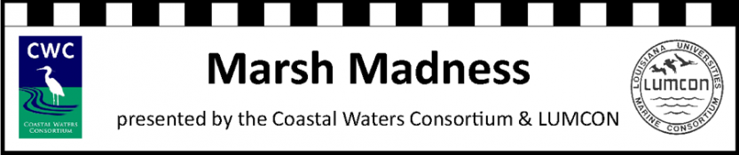 marsh_madness_img